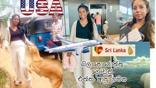 හිතුවෙවත් නැනි විදිහට ලංකාවට ආපු ගමන|America To Srilanka Tour |Airport Vlog