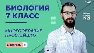 Многообразие простейших. Урок 4. Биология 7 класс