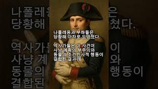 나폴레옹 수천마리 토끼에게 쫓기다 #역사 #명상 #명언 #삶 #삶의지혜 #좋은글 #좋은글귀 #인생 #인생명언 #인생조언 #아침 #아침묵상 #건강 #철학 #부자 #자기계발