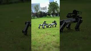 ELECFREAKS 丨Look! Who do we meet in the park? It seems that XGO Couple is terribly excited..#short