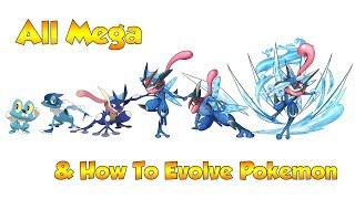 How To Evolve Pokémon - Generation 6 Kalos & Mega Evolutions (Animated Sprites)