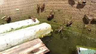 база в бочке