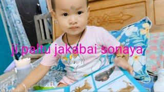 paltu jabai dwi sonaya. EshaRN vlog 