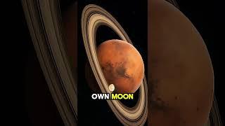 What will the future of the universe look like  w/ Neil deGrasse Tyson