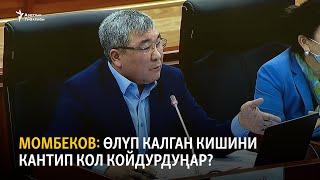 Момбеков: Азыркы Конституциянын автору ким?