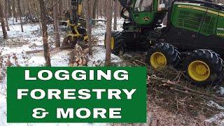 Logging Forestry & More Promo Video