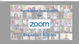 Zoom Breakout Rooms - instructions for participants