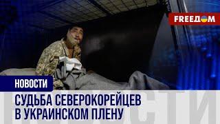 ПЛЕННЫЕ северокорейцы: Зеленский предложил Киму ЗАБРАТЬ своих солдат. На каких УСЛОВИЯХ?