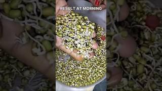 How to make sprouts at home #shorts