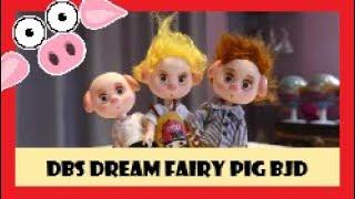 Aliexpress Week - DBS Dream Fairy Pig Doll - Are they worth it? #DreamFairy