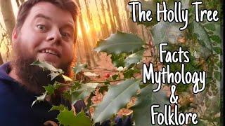 The Holly Tree: Facts Mythologies & Folklores