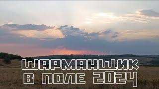 полевой день шарманщика 2024