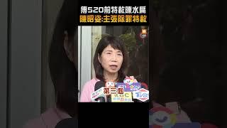 傳520前特赦陳水扁 陳昭姿：主張除罪特赦