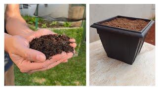 How to Make the PERFECT Substrate for Seedlings and Plants | Just 3 Simple Ingredients! 