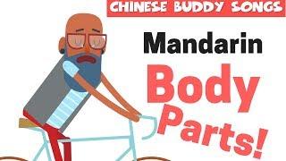 Learn Basic Mandarin | Mandarin Body Parts Song