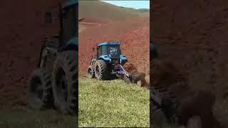 Hoje foi dia de tombar terra,para fazer reforma de pastagem  #agro