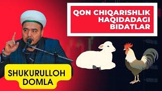 Қон чиқариш Бидат амал эканини биласизми? // Qon chiqarish Bidat amal ekanini bilasizmi? //