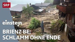 Murgang trifft Brienz BE: Wie weiter nach der Unwetterkatastrophe? | Einstein | SRF