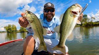 How To Catch 2 Bass At Once!! (Tricks For Schooling Bass)