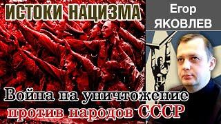 Историк Егор Яковлев. Лекция "Истоки нацизма и война на уничтожение против народов СССР".