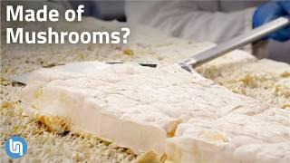Why Mushrooms are Starting to Replace Everything