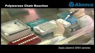 Polymerase Chain Reaction