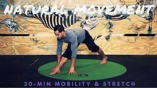 Stay Loose: Natural Movements for Mobility & Stretching