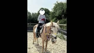 Let me raise a lemonade to the girl I love most! (#shorts #fyp #horse #equestrian #lemonade