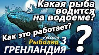 Какая рыба водится на водоеме? / РР3 [Русская Рыбалка 3 Гренландия]