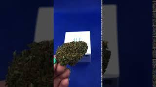 Elektra CBD Hemp Flower