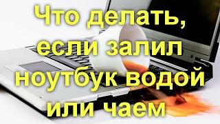 Что делать, если залил ноутбук водой или чаем