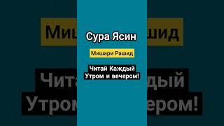 Сура Ясин. Мишари Рашид. Читайте каждое утро и вечером. #коран #чтениекорана #القرآن