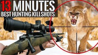 BEST HUNTING KILL SHOTS in 13 MINUTES