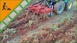 AgriEuro CM5 Spring loaded tiller - medium series - Harrow with 5 ploughshares - Customer's video