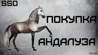 Покупка Андалуза в игре Star Stable Online | покупка лошади | Стар Стейбл | SSO |