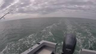 Morehead City Fishing- Trolling Spanish Mackerels- Salt Air ventures