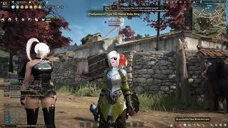 BLACK DESERT : Daruma Chicks XD