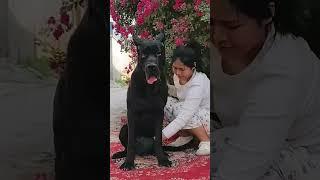 This dog is creating the new generation 763