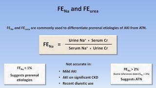 Acute Kidney Injury (Part 2/3 - Diagnostic Evaluation)