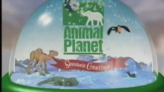 Animal Planet: "Snowglobe"