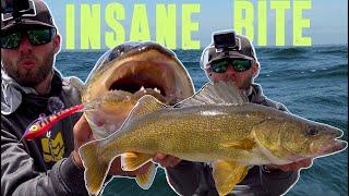 The Most INSANE GIANT Walleye Fishing EVER!
