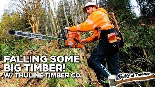 Cutting Timber with a Ported 592xp and wearing my new JK Caulk Logger Boots!