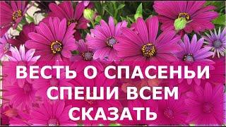 Весть о спасеньи спеши всем сказать. Лучшие христианские песни.