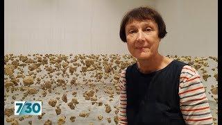 British artist Cornelia Parker talks about her work | 7.30