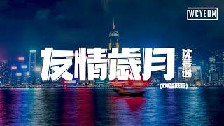 沈梦逸 - 友情岁月 (DJ越鼓版)【動態歌詞/pīn yīn gē cí】