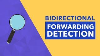 Bidirectional Forwarding Detection