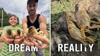 My Aviary Dream is Dead.