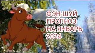 ФЭН-ШУЙ ПРОГНОЗ НА ЯНВАРЬ МЕСЯЦ ДЕРЕВЯННОГО БЫКА#1