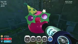 Party Gordo location, December 7-9 | Slime Rancher