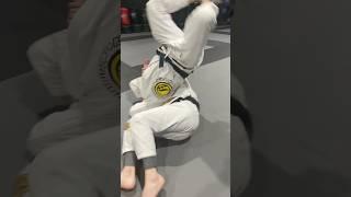 Turtle Guard Basics 
